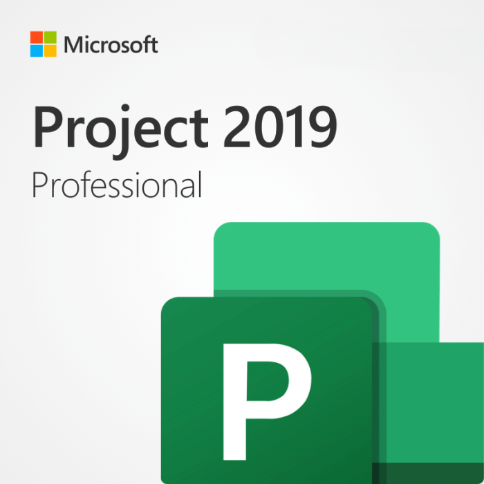 Microsoft Project Professional 2019 1PC [Retail] Product Key Image