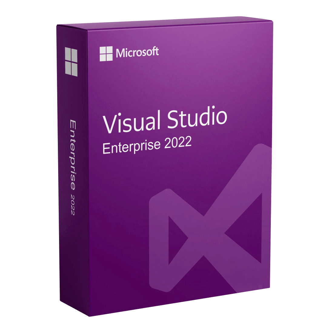 Visual Studio 2022 Enterprise [2PC]