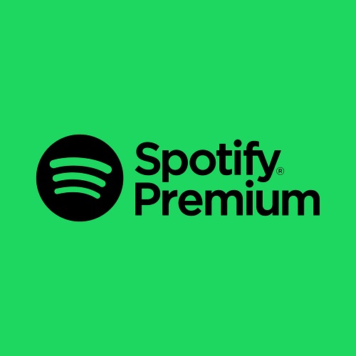 Spotify Premium 12 Months