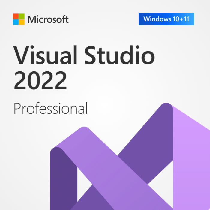 Visual Studio 2022 Professional [5PC]